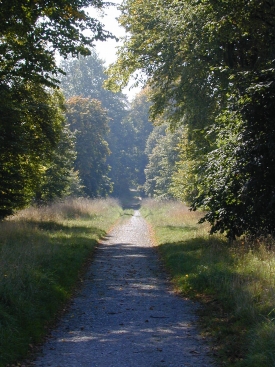 Quakers Walk at the East end of town